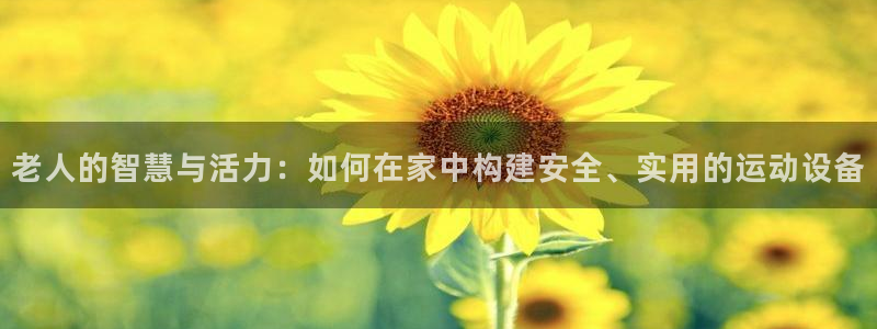 凯捷体育娱乐下载：老人的智慧与活力：如何在家中构建安