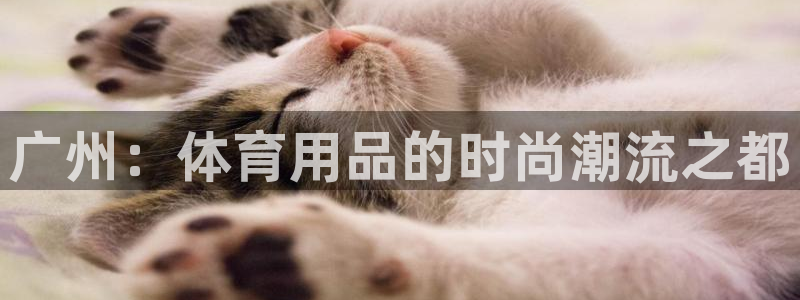 凯捷体育平台APP：广州：体育用品的时尚潮流之都