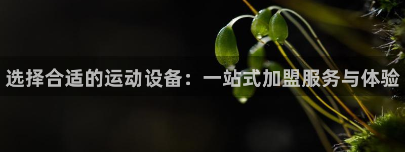 凯捷体育官网：选择合适的运动设备：一站式加盟服务与体