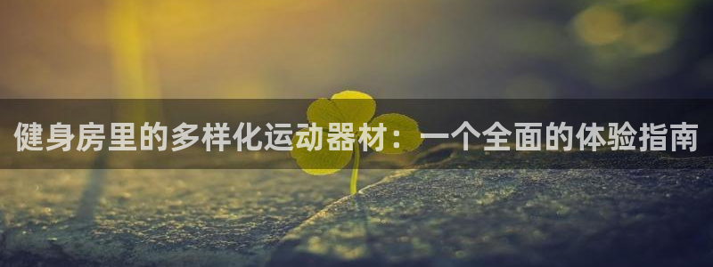 注册凯捷体育：健身房里的多样化运动器材：一个全面的体