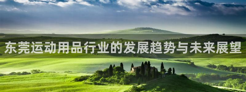 凯捷体育集团官网首页：东莞运动用品行业的发展趋势与未来展望