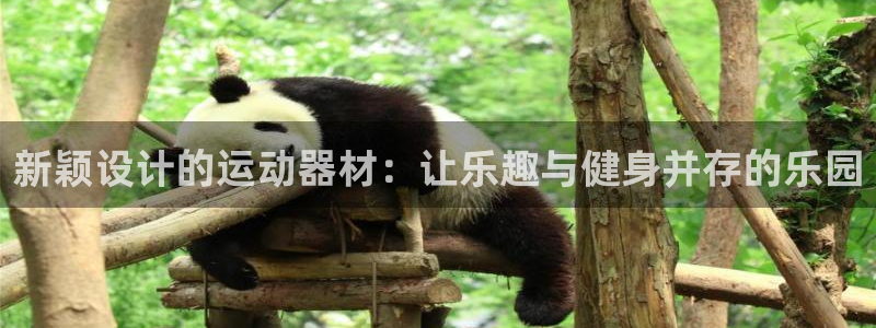 凯捷体育招商电话是多少：新颖设计的运动器材：让乐趣与