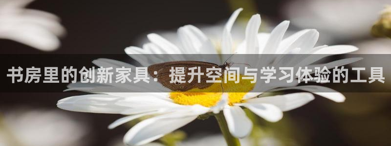凯捷体育平台注册流程视频：书房里的创新家具：提升空间