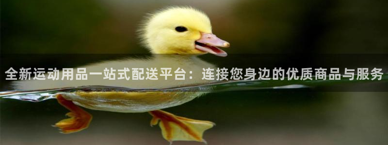 凯捷体育娱乐平台：全新运动用品一站式配送平台：连接您
