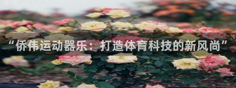 凯捷体育招商电话地址是多少：“侨伟运动器乐：打造体育