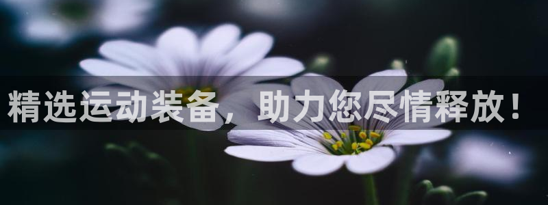凯捷体育开户：精选运动装备，助力您尽情释放！