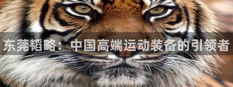 凯捷体育娱乐首页网站大全：东莞韬略：中国高端运动装备