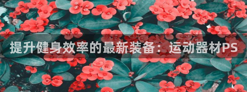 凯捷体育软件：提升健身效率的最新装备：运动器材PS