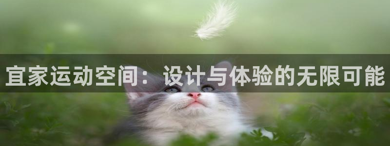 意昂集团官网：宜家运动空间：设计与体验的无限可能