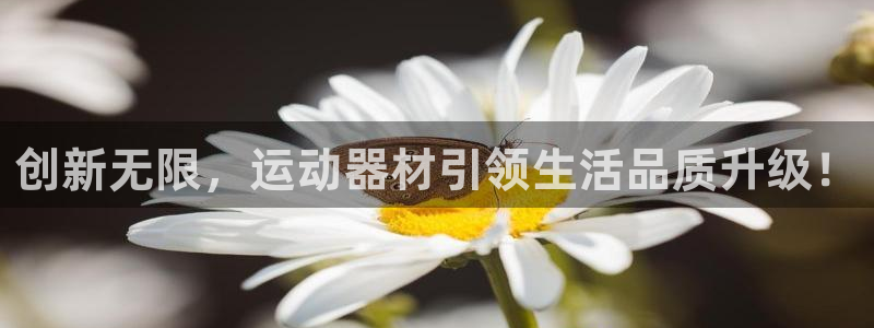 凯捷体育官方：创新无限，运动器材引领生活品质升级！
