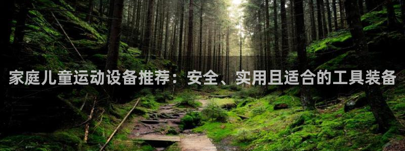 凯捷体育平台注册要钱吗：家庭儿童运动设备推荐：安全、