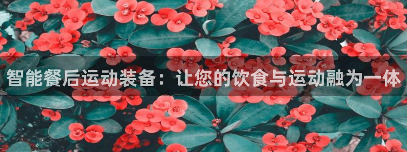 凯捷体育注册：智能餐后运动装备：让您的饮食与运动融为