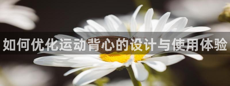 凯捷体育代理：如何优化运动背心的设计与使用体验