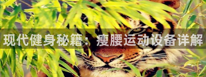 凯捷体育平台APP：现代健身秘籍：瘦腰运动设备详解