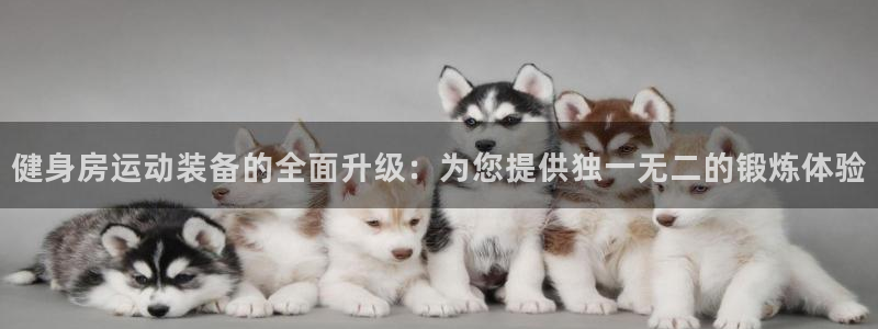 凯捷体育娱乐是那个系列的台子：健身房运动装备的全面升