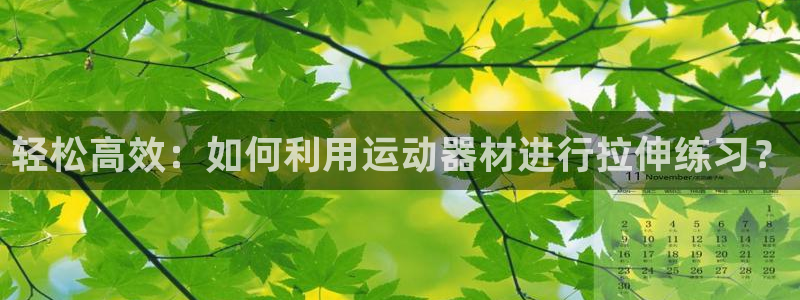 凯捷体育集团简介：轻松高效：如何利用运动器材进行拉伸