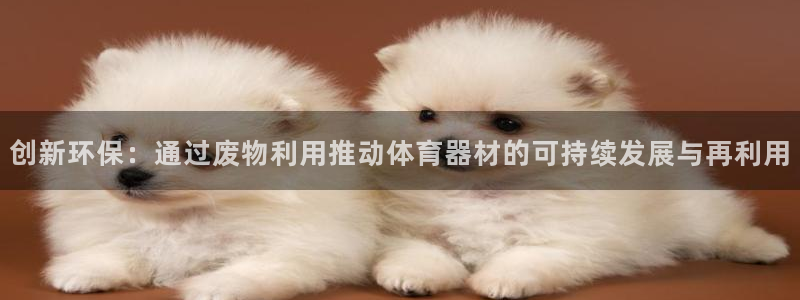 凯捷体育娱乐：创新环保：通过废物利用推动体育器材的可