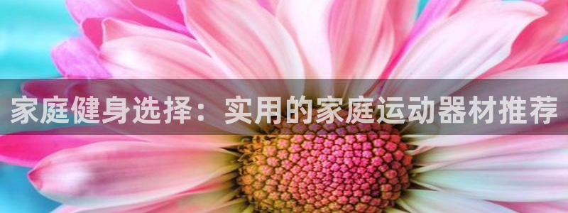凯捷体育科技：家庭健身选择：实用的家庭运动器材推荐