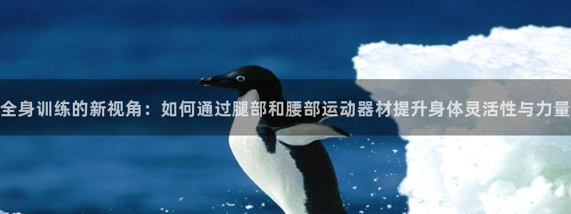 凯捷体育五金厂：全身训练的新视角：如何通过腿部和腰部运动器材