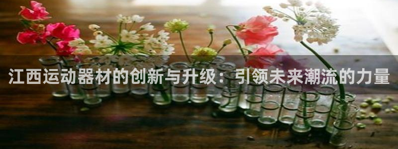 凯捷体育平台注册：江西运动器材的创新与升级：引领未来