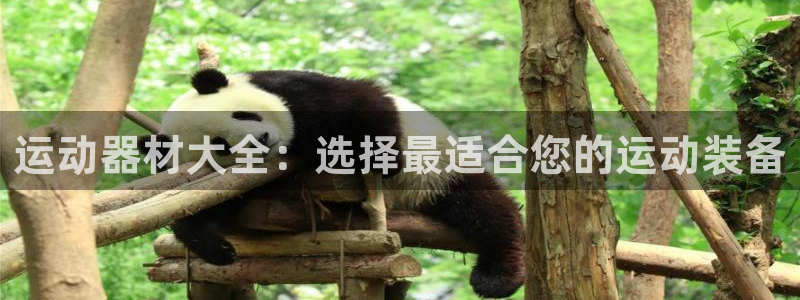 意昂平台体育：运动器材大全：选择最适合您的运动装备