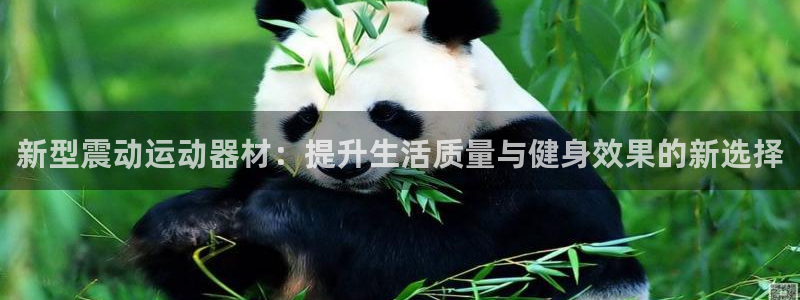 凯捷体育娱乐：新型震动运动器材：提升生活质量与健身效