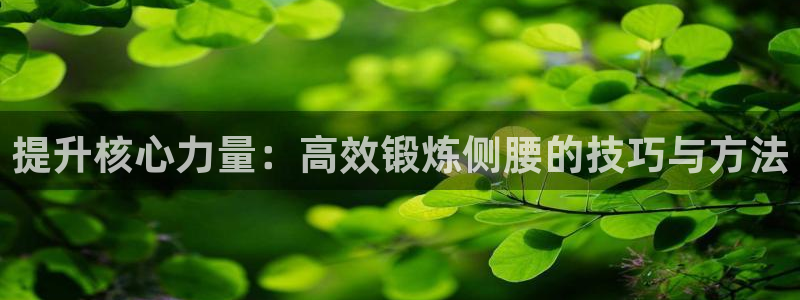 凯捷体育平台注册要钱吗安全吗：提升核心力量：高效锻炼