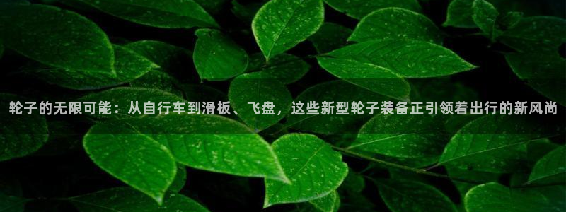 凯捷体育平台注册：轮子的无限可能：从自行车到滑板、飞