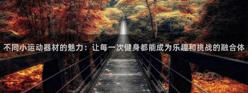 凯捷体育平台注册：不同小运动器材的魅力：让每一次健身