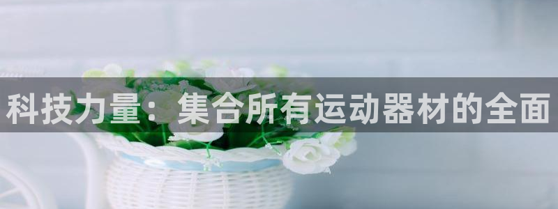 凯捷体育娱乐是那个系列的台子：科技力量：集合所有运动