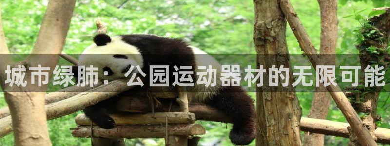 凯捷体育官方客服电话：城市绿肺：公园运动器材的无限可