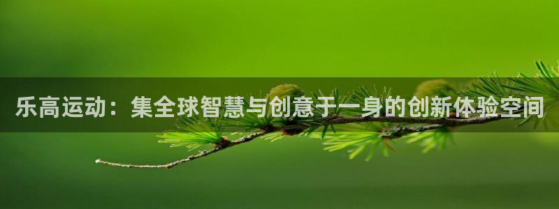 凯捷体育平台假的吗是真的吗：乐高运动：集全球智慧与创