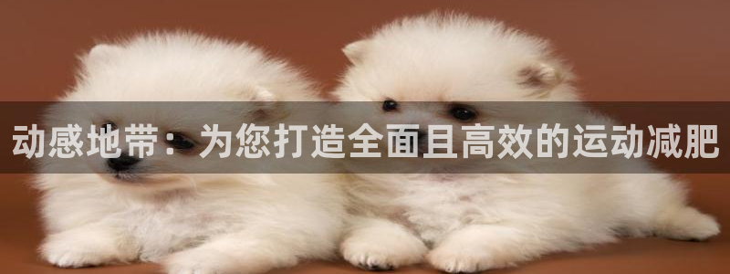 凯捷体育软件：动感地带：为您打造全面且高效的运动减肥