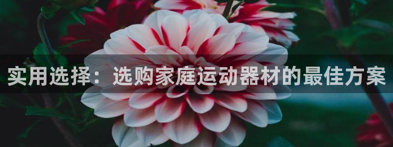 凯捷体育招商电话：实用选择：选购家庭运动器材的最佳方