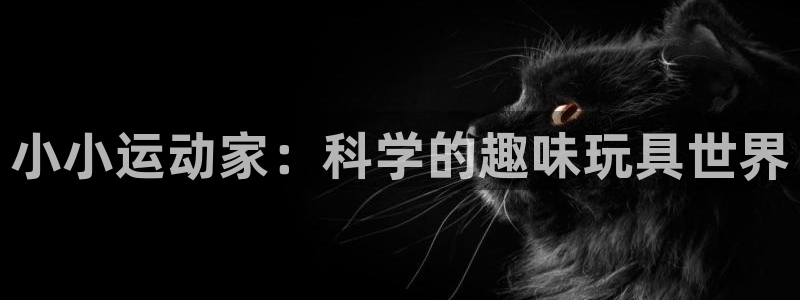 凯捷体育招商电话地址是多少：小小运动家：科学的趣味玩