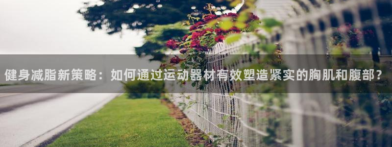凯捷体育招商：健身减脂新策略：如何通过运动器材有效塑