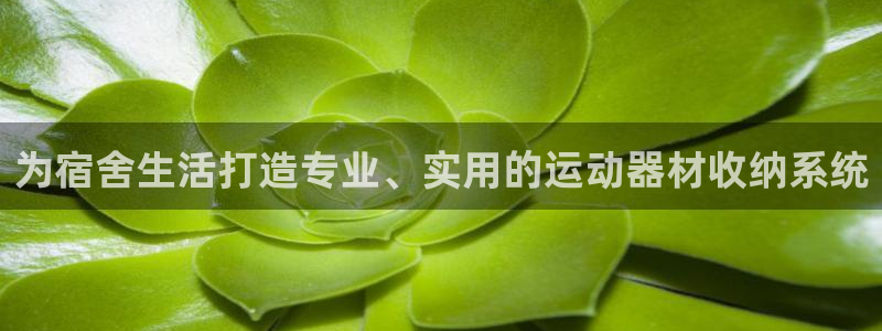 凯捷体育平台是正规平台吗安全吗