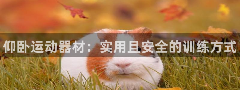 凯捷体育娱乐
