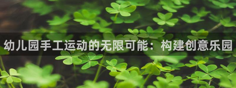 海南凯捷体育：幼儿园手工运动的无限可能：构建创意乐园