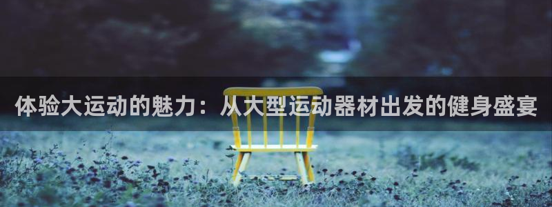 凯捷体育招商：体验大运动的魅力：从大型运动器材出发的