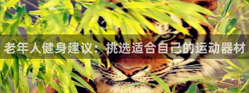凯捷体育官网：老年人健身建议：挑选适合自己的运动器材