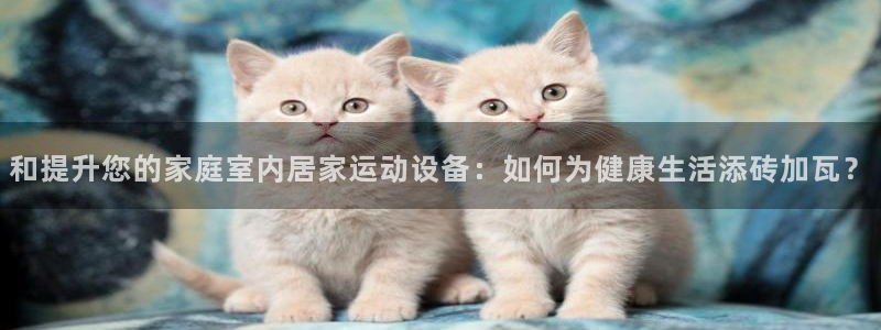 凯捷体育开户：和提升您的家庭室内居家运动设备：如何为