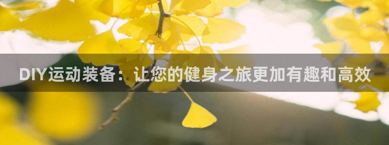 凯捷体育招商电话号码是多少啊：DIY运动装备：让您的