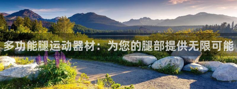 凯捷体育集团简介：多功能腿运动器材：为您的腿部提供无