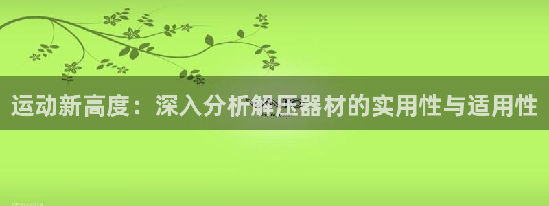 凯捷体育招商：运动新高度：深入分析解压器材的实用性与