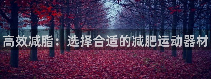 凯捷体育代理：高效减脂：选择合适的减肥运动器材