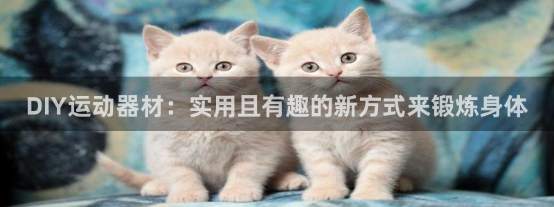 凯捷体育官网