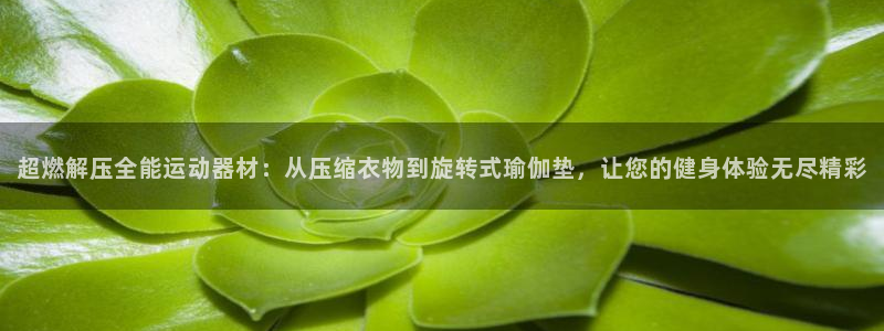凯捷体育招商电话号码查询