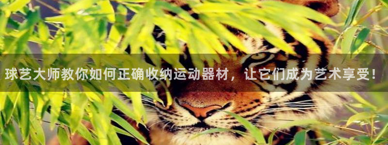 凯捷体育平台注册要钱吗安全吗:球艺大师教你如何正确收纳运动器