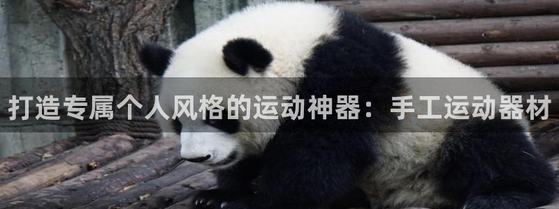 凯捷体育招商电话